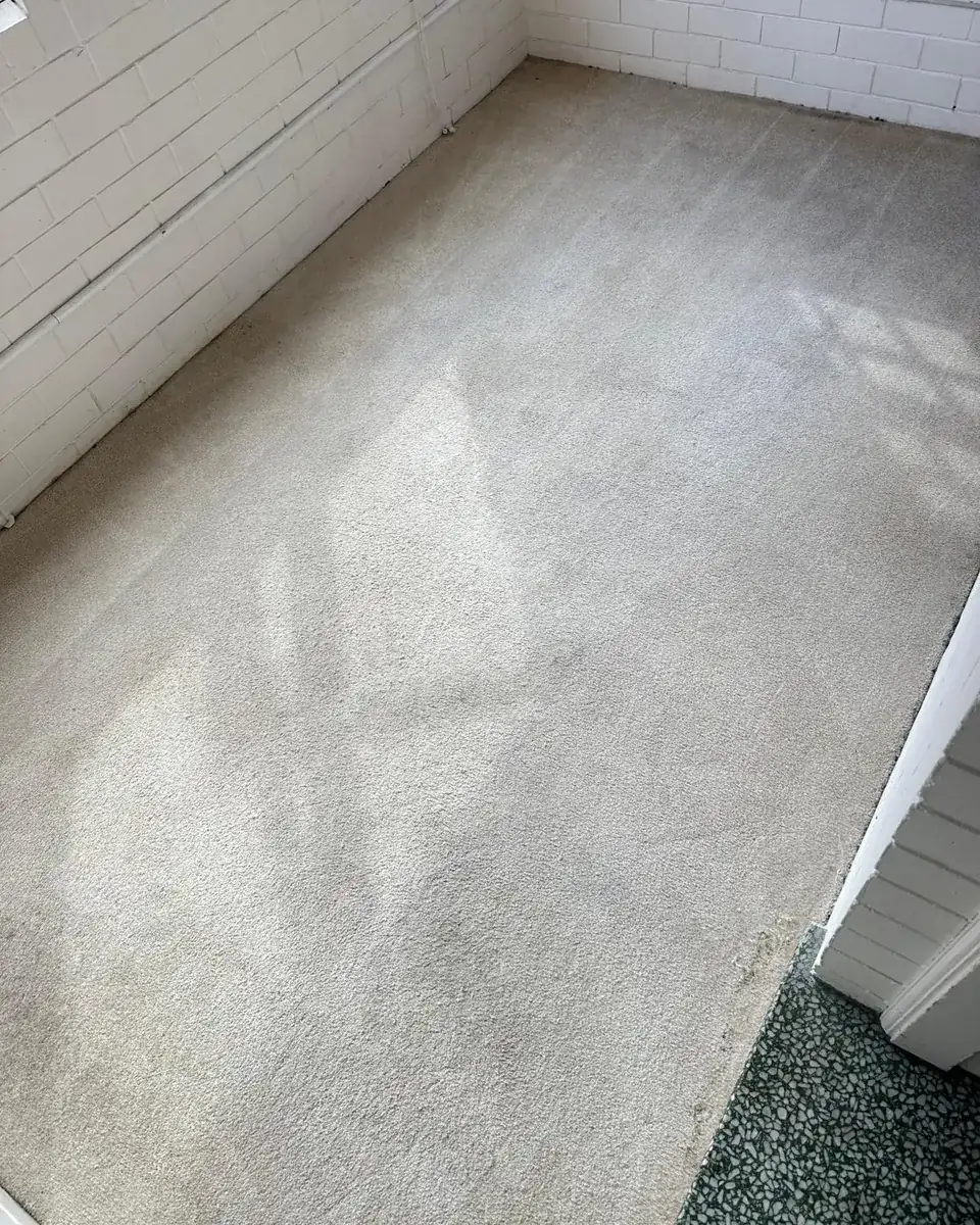 The same carpeted room after steam cleaning: pale, even pile with fresh wand stripes