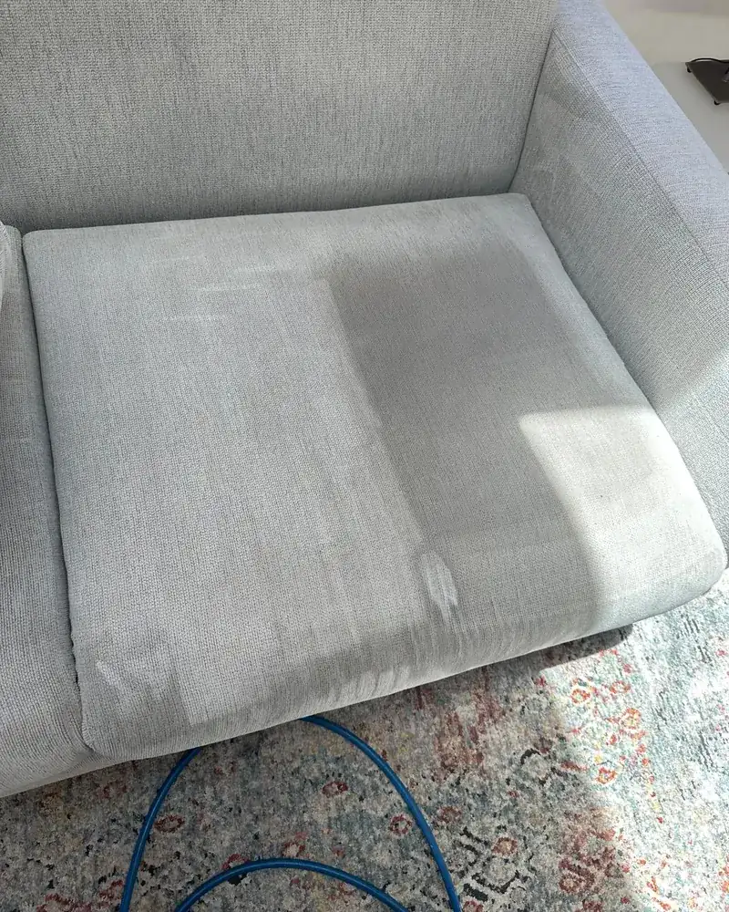 A grey fabric armchair seat with a clean rectangle beside an uncleaned one