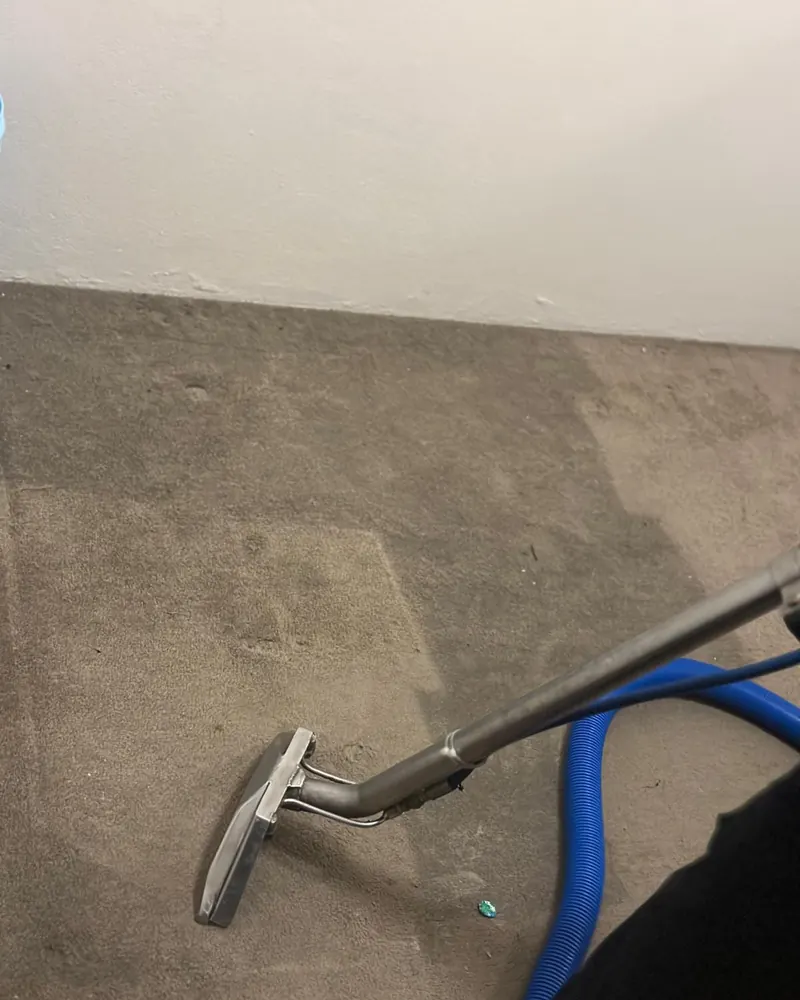 A steam wand pulling a clean pale stripe through a soiled brown carpet